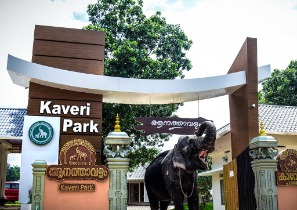 Kerala Tourism & Elephant