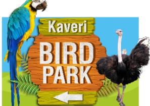 Bird Park