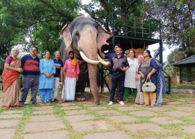 Spend a day with elephant in Kaveri elephant Park 